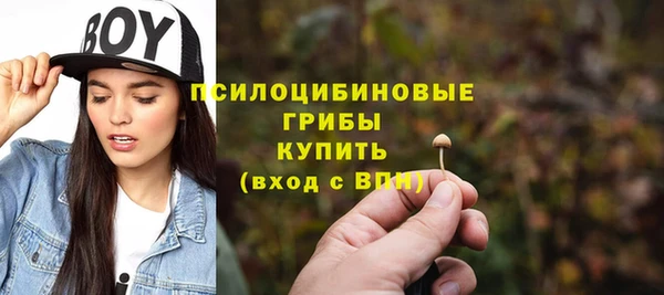 синтетический гашиш Алексин