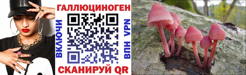 где купить   Салехард  Галлюциногенные грибы Psilocybine cubensis 